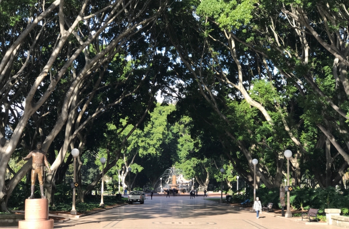悉尼海德公园位于悉尼市中心的东侧，初建于1810年，已有200多年的历史，那里有大片洁净的草坪，百年以上的参天大树，是这里休闲的一个好去处。
