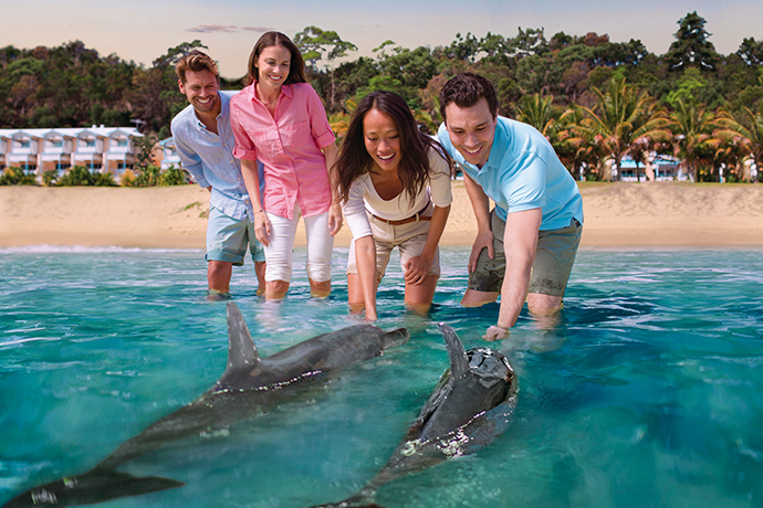 澳大利亚布里斯班海豚岛1日游·天阁露玛海豚岛+喂食野生海豚+海洋发现之旅