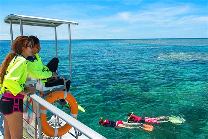 凯恩斯绿岛大堡礁浮潜体验